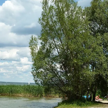 Hotel Mueritzhoeh 4*